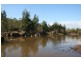 Lower Belford NSW 2335