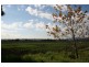 Lower Belford NSW 2335