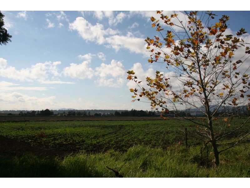 Lower Belford NSW 2335