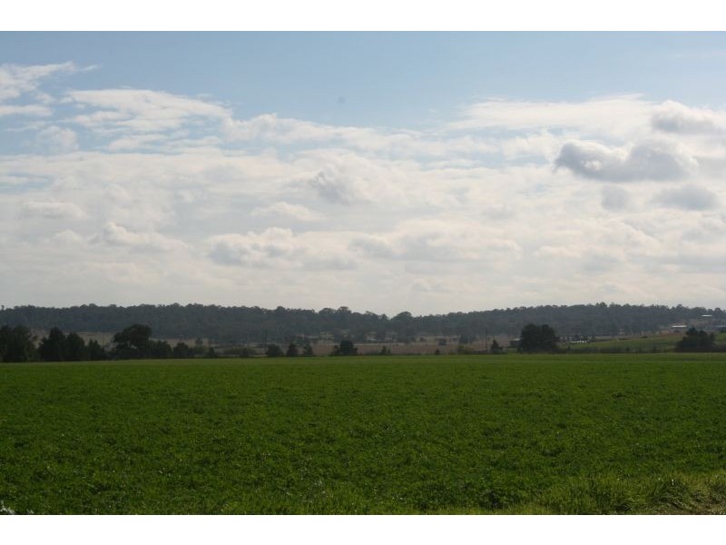 Lower Belford NSW 2335