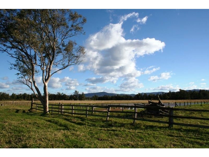 Lovedale NSW 2325