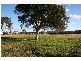 Lovedale NSW 2325