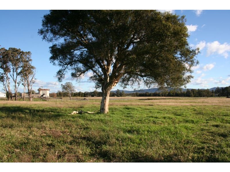 Lovedale NSW 2325