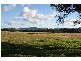 Lovedale NSW 2325