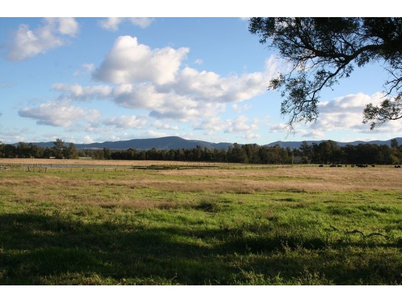 Lovedale NSW 2325