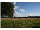 Lovedale NSW 2325