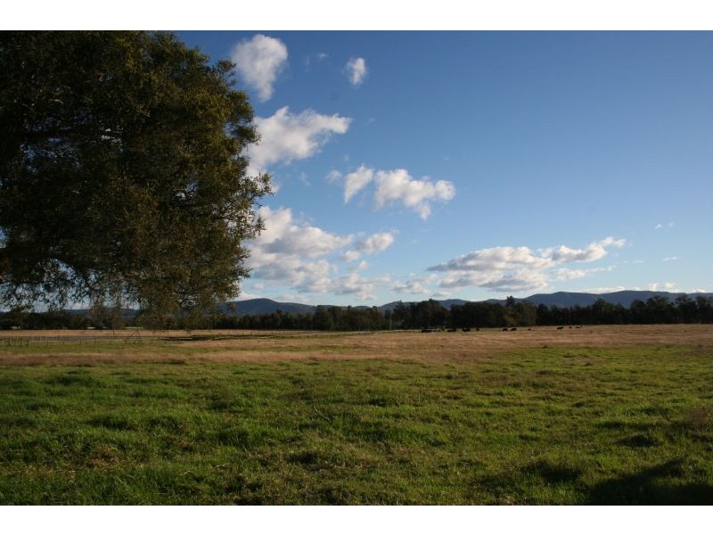 Lovedale NSW 2325