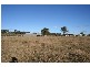 Lovedale NSW 2325