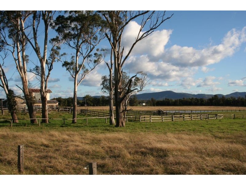 Lovedale NSW 2325