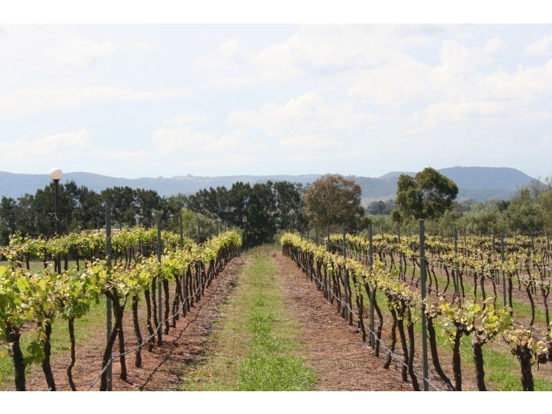 317 Pywells Road, Lochinvar NSW 2321