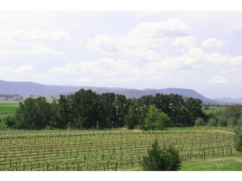 317 Pywells Road, Lochinvar NSW 2321