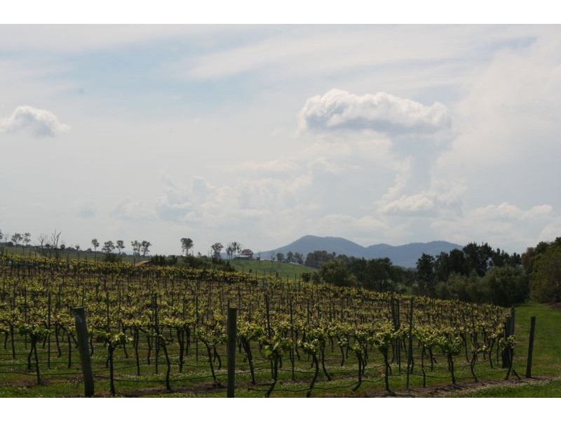 317 Pywells Road, Lochinvar NSW 2321