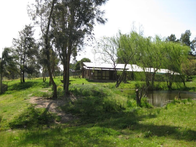 Brunkerville NSW 2323