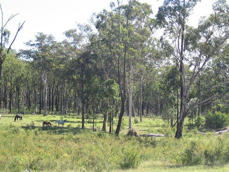 Lot 1 Lake Road, Elrington NSW 2325