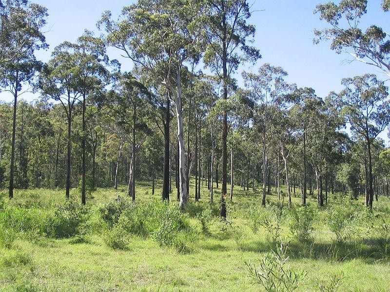 Lot 1 Lake Road, Elrington NSW 2325