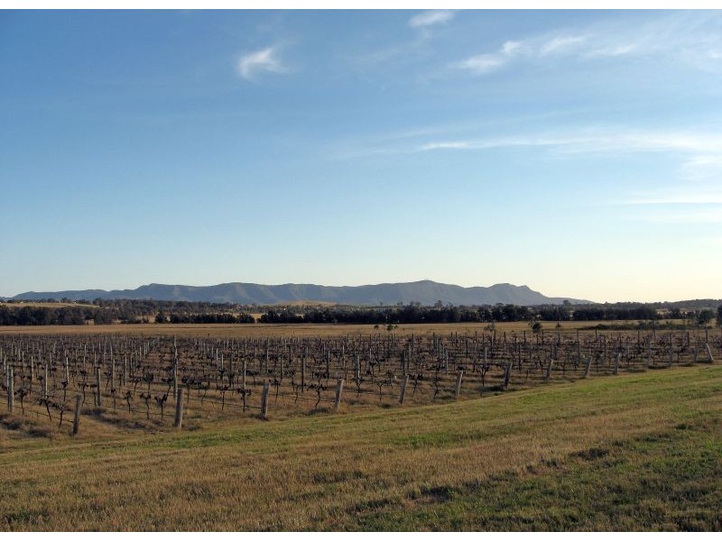 483 Talga Road, Lovedale NSW 2325