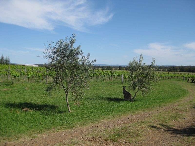 483 Talga Road, Lovedale NSW 2325