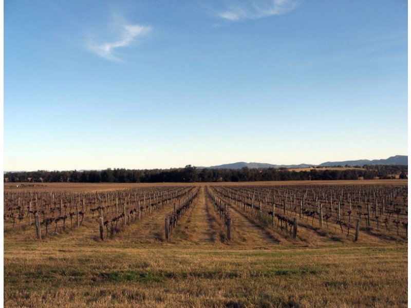 483 Talga Road, Lovedale NSW 2325