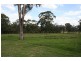 Lovedale NSW 2325