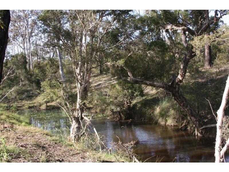 Lovedale NSW 2325