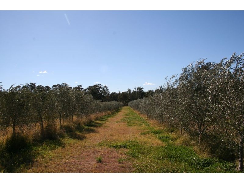 276  Tuckers Lane, Greta NSW 2334