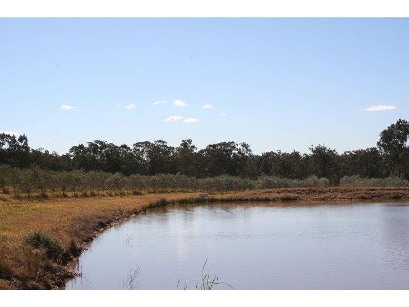 276  Tuckers Lane, Greta NSW 2334