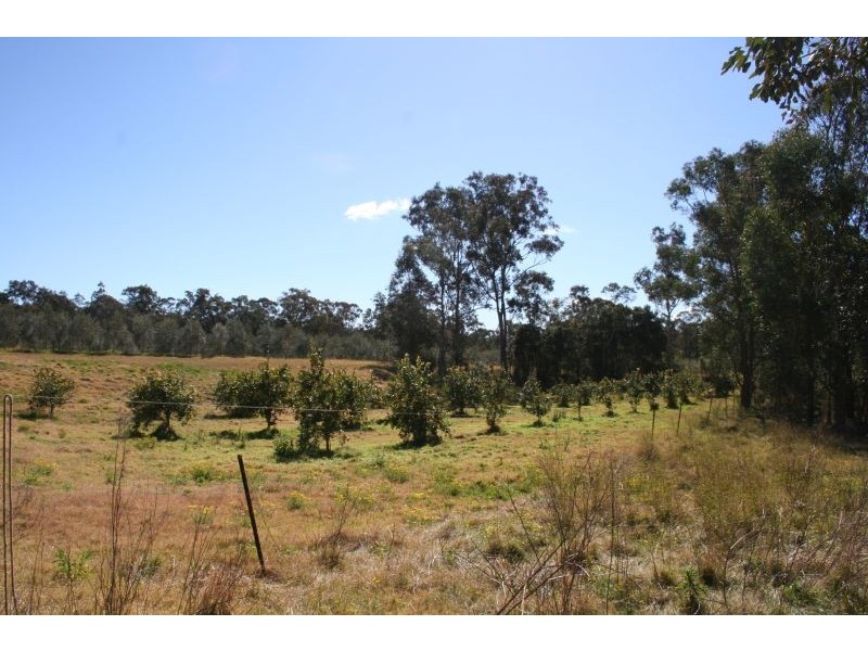 276  Tuckers Lane, Greta NSW 2334