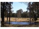 Lovedale NSW 2325