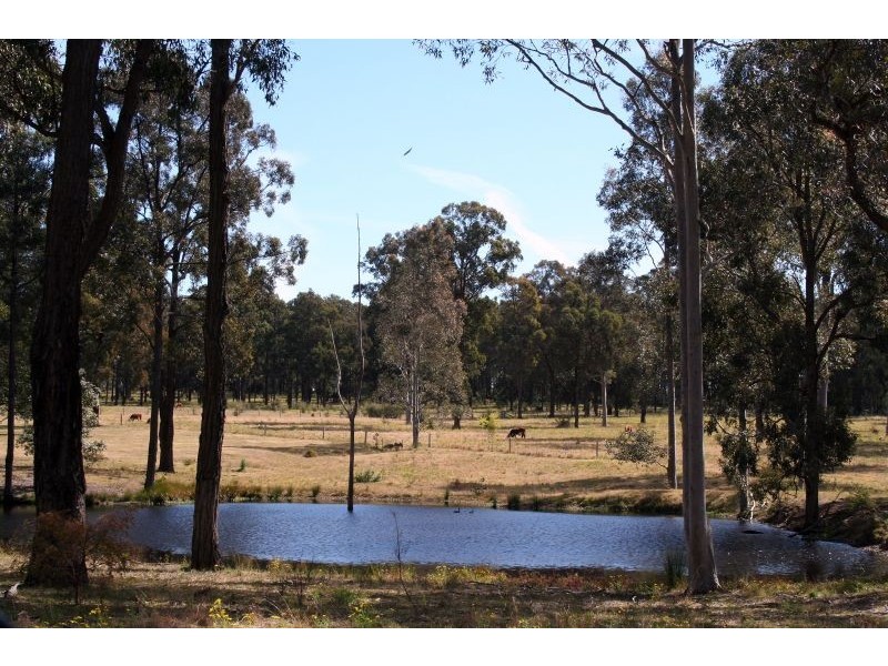 Lovedale NSW 2325