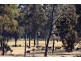 Lovedale NSW 2325