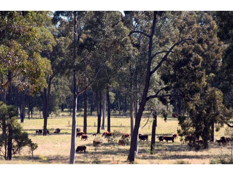 Lovedale NSW 2325