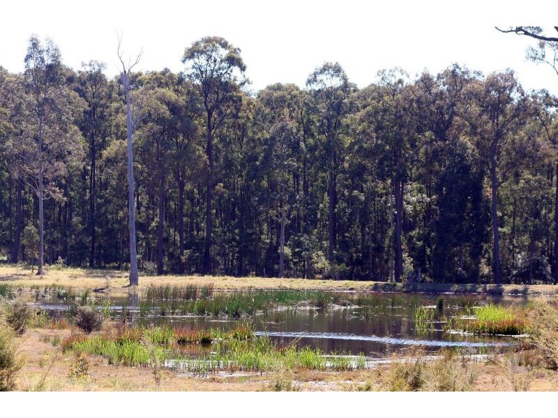 Lovedale NSW 2325