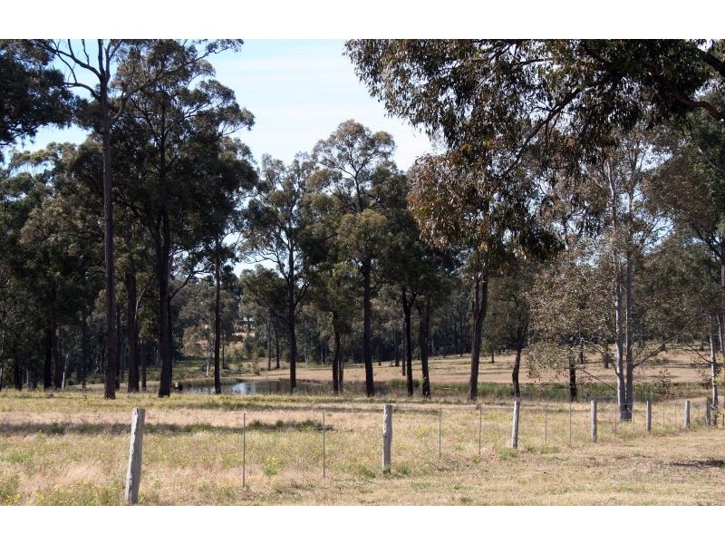 Lovedale NSW 2325