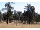 Lovedale NSW 2325