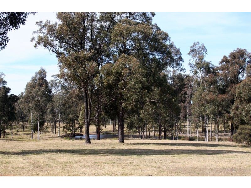 Lovedale NSW 2325