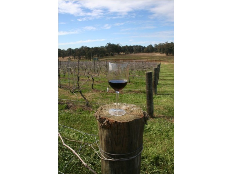 Pokolbin NSW 2320
