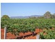 Pokolbin NSW 2320
