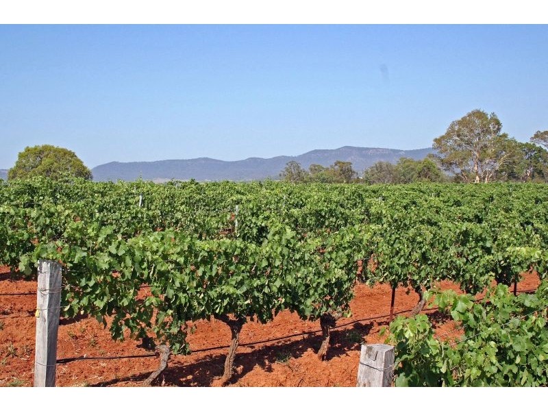 Pokolbin NSW 2320