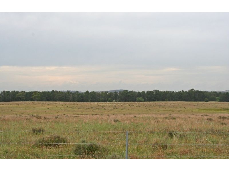 155 Milbrodale Road, Broke NSW 2330