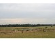 155 Milbrodale Road, Broke NSW 2330