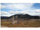 155 Milbrodale Road, Broke NSW 2330