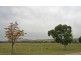 155 Milbrodale Road, Broke NSW 2330