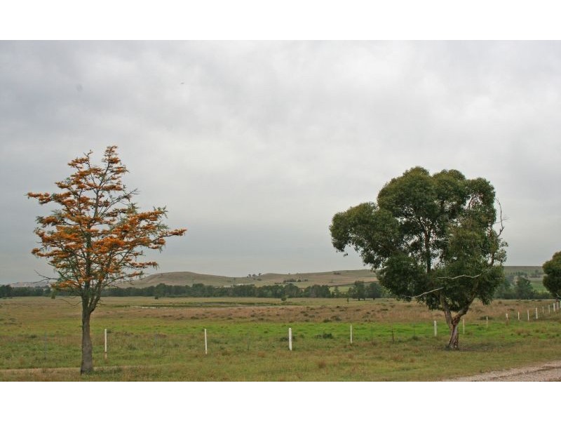 155 Milbrodale Road, Broke NSW 2330