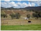 Lot 2  in unregistered plan of subdivision, Debeyers Road, Pokolbin NSW 2320