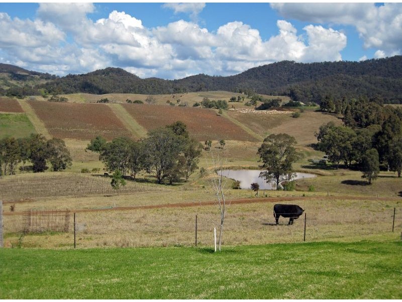 Lot 2  in unregistered plan of subdivision, Debeyers Road, Pokolbin NSW 2320