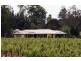 130 Gillards Road, Pokolbin NSW 2320