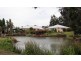 130 Gillards Road, Pokolbin NSW 2320
