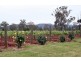 130 Gillards Road, Pokolbin NSW 2320