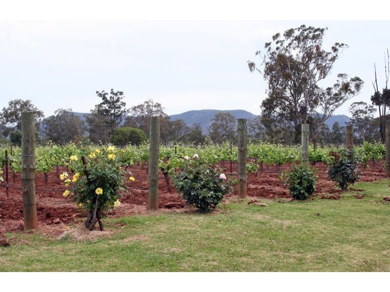 130 Gillards Road, Pokolbin NSW 2320