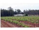 130 Gillards Road, Pokolbin NSW 2320